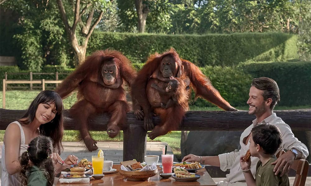 Bali Zoo