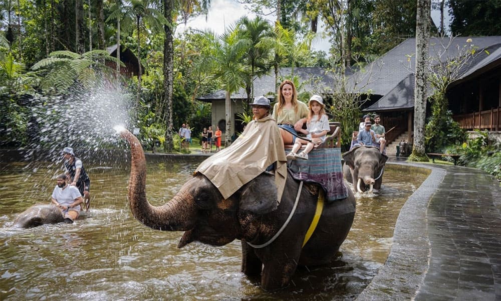 Bali Zoo