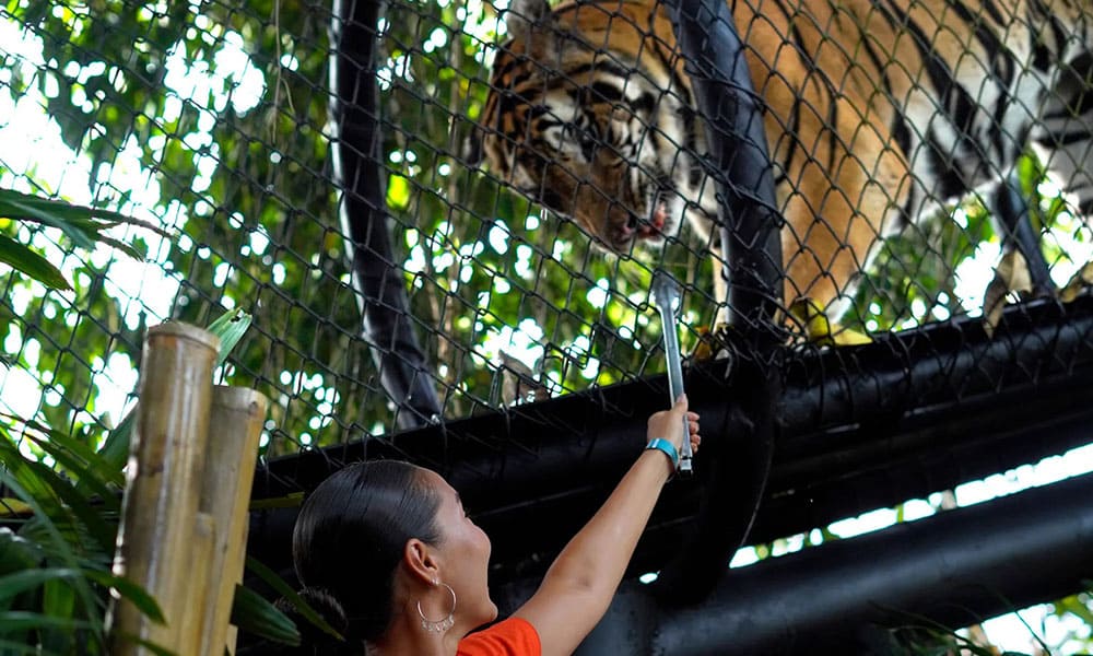 Bali Zoo
