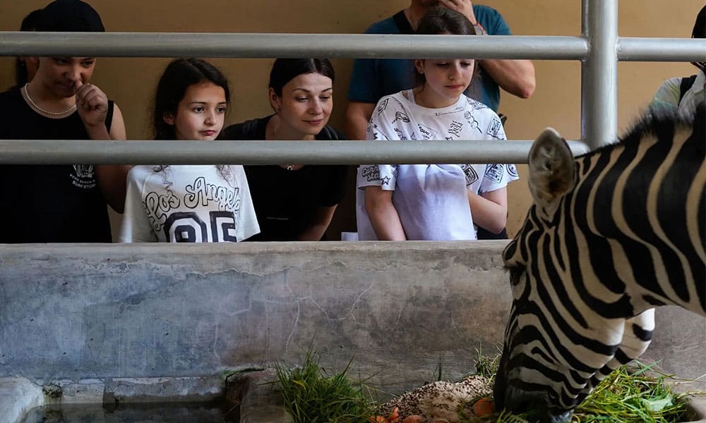 Bali Zoo