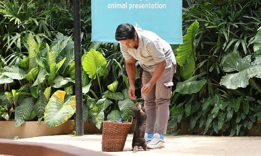 Bali Zoo