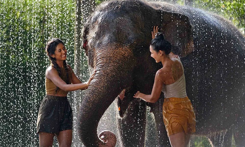 Bali Zoo