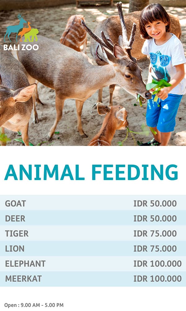 Bali Zoo