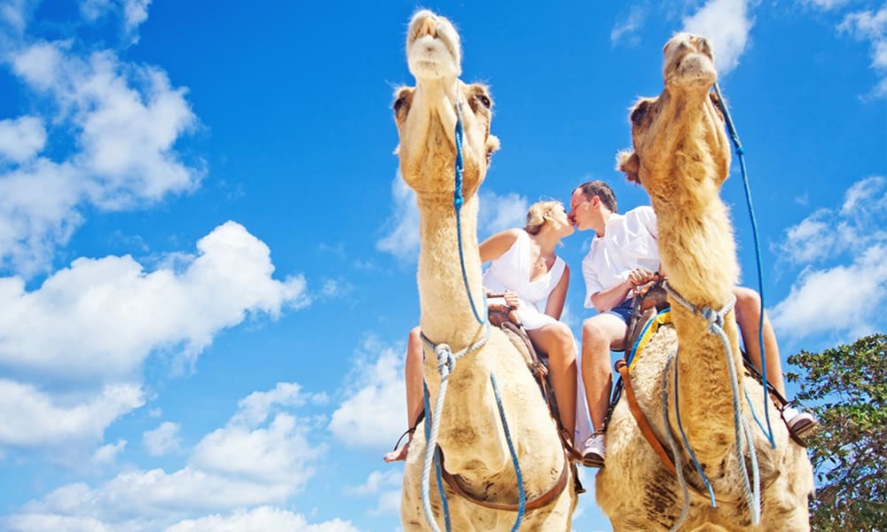 Camel Ride