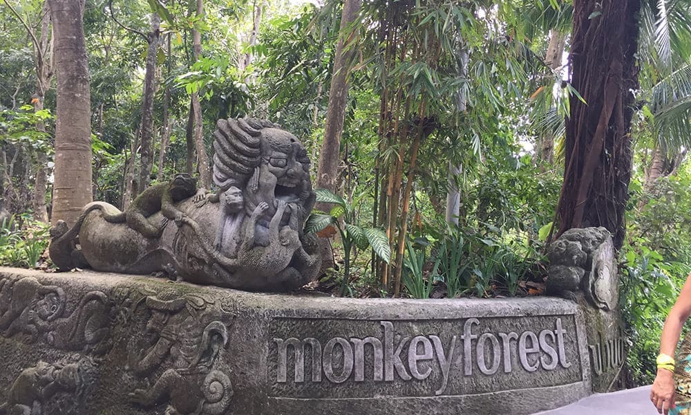 Monckey Forest Temple